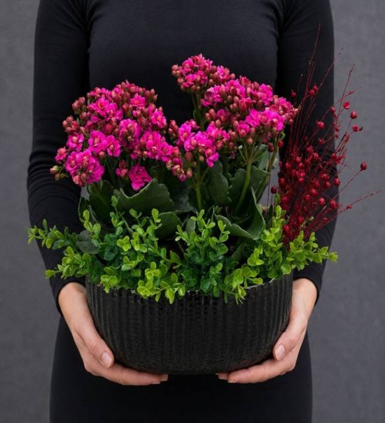 Özel Seramikte 2 Adet Kalanchoe