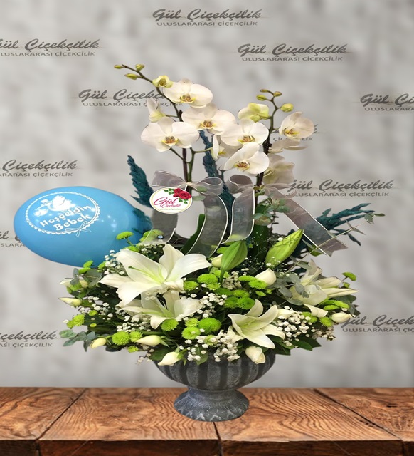 SERAMİKTE ORKİDE YENİ BEBEK