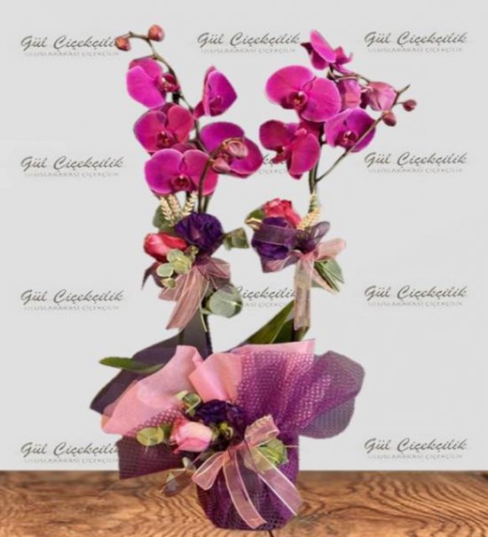 ÖZEL ÇİÇEKLİ MOR ORKİDE