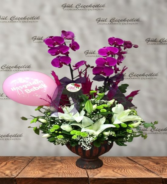 SERAMİKTE ORKİDE KIZ YENİ BEBEK