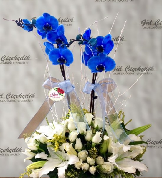  Mavi Orkide ve Kır Çiçekleri