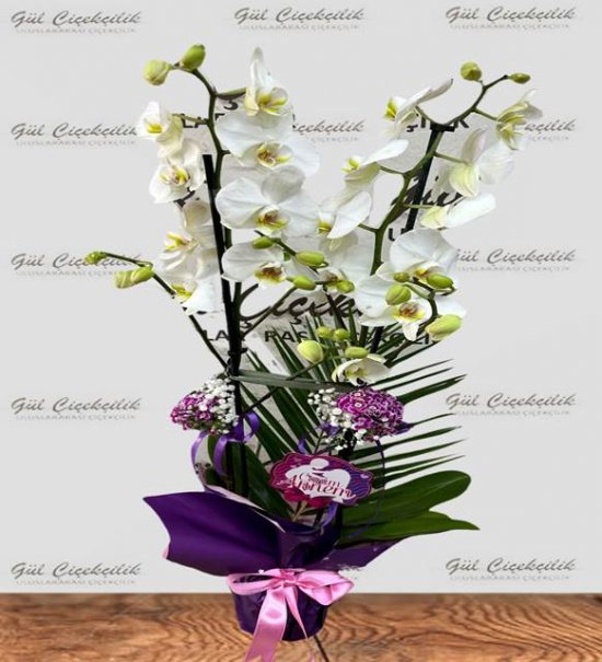 CANIM ANNEME BEYAZ 2 DAL XL ORKİDE