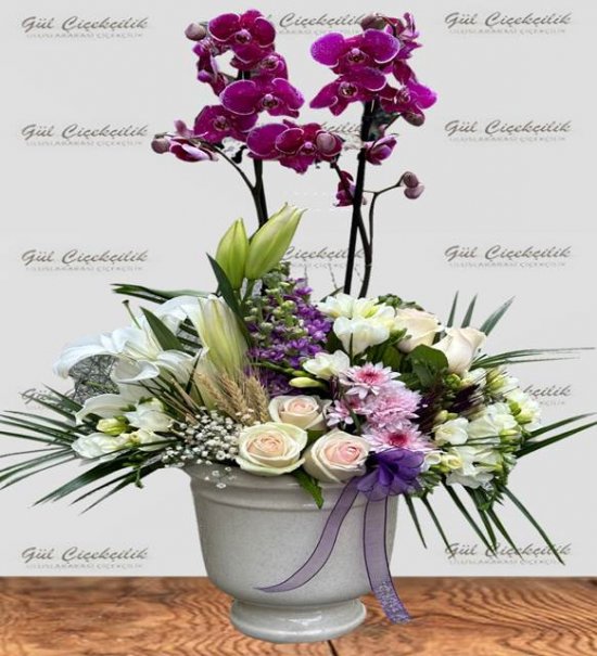 Lüks Orkide ve Mevsim Çiçekleri Aranjmanı