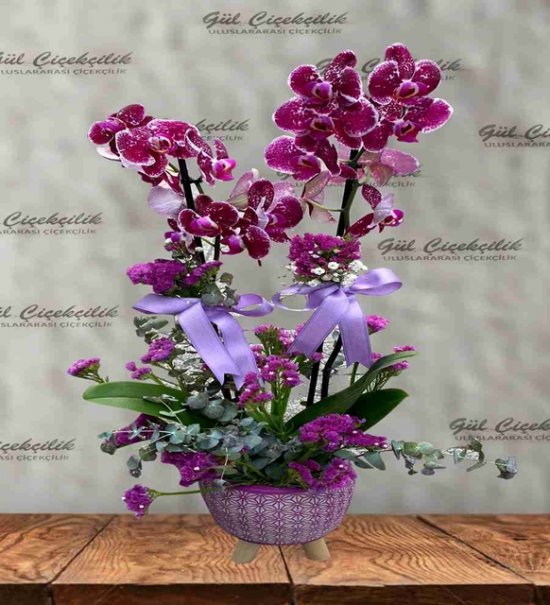 ÖZEL SAKSIDA EBRULİ ORKİDE