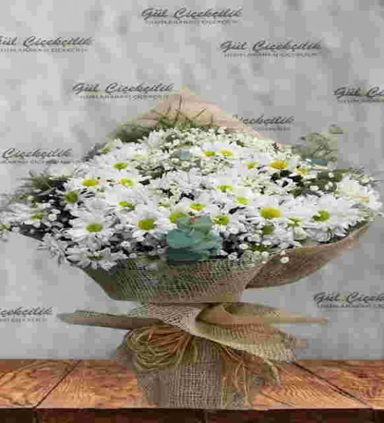 Kucak Dolusu Papatya