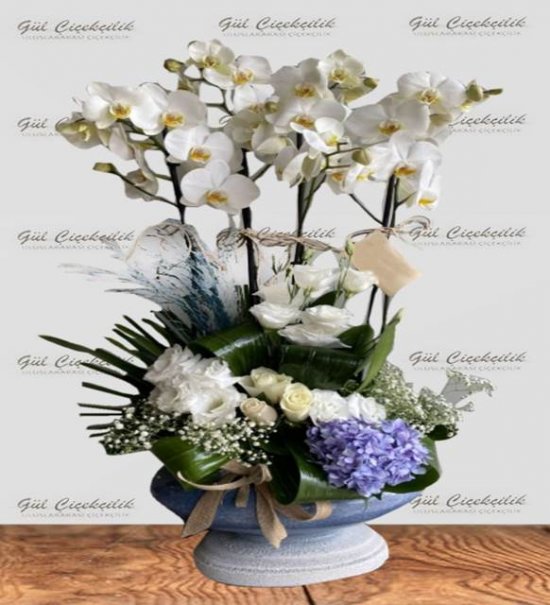 4 DALLI BEYAZ ORKİDE ARAJMANI