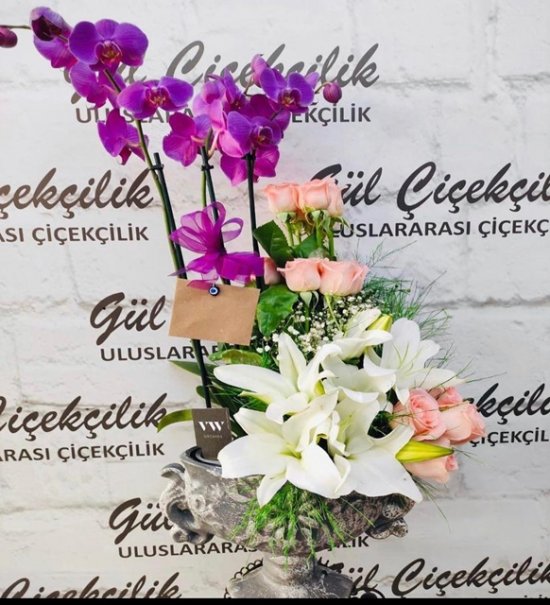 ÖZEL MOR ORKİDE ARAJMANI