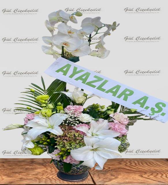 AÇILIŞ DÜĞÜN ORKİDESİ