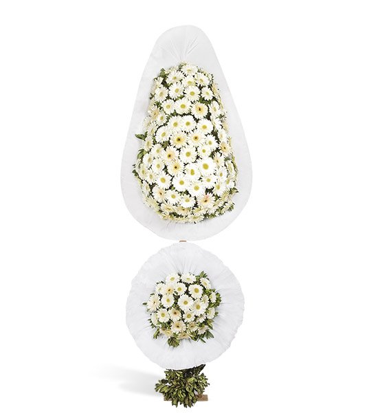 Saf Düşler Beyaz Gerbera Kutlama Çelengi