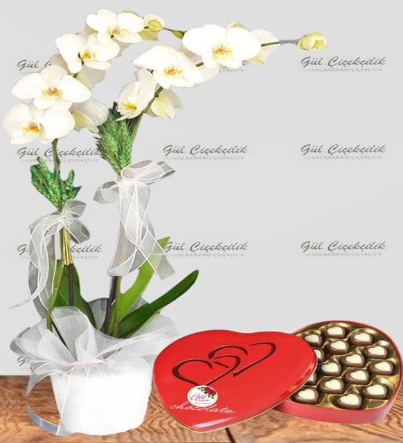 2 Dal Beyaz Orkide ve Kalp Kutuda Çikolata