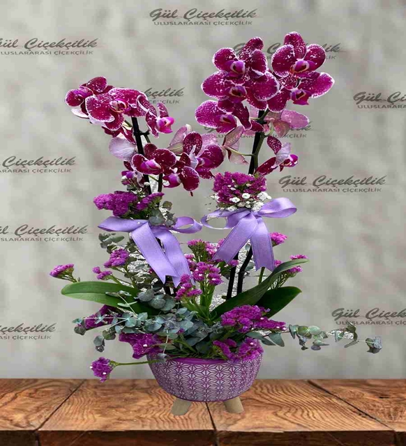 ÖZEL SAKSIDA EBRULİ ORKİDE