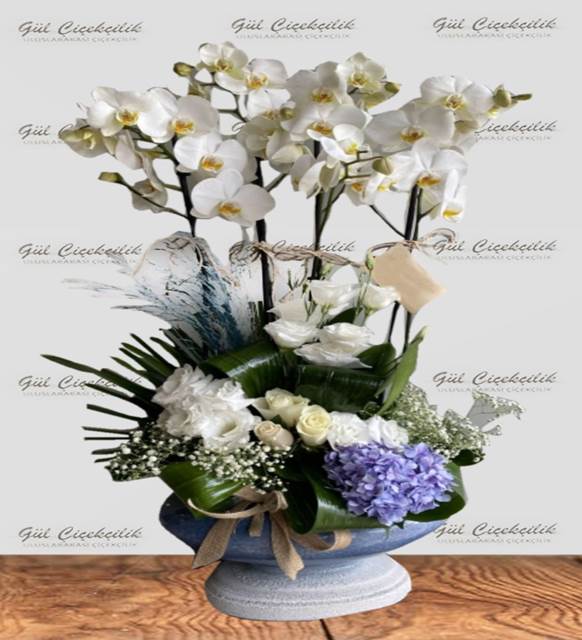 4 DALLI BEYAZ ORKİDE ARAJMANI