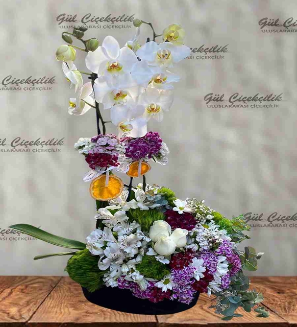 ORKİDE VİP ARAJMAN