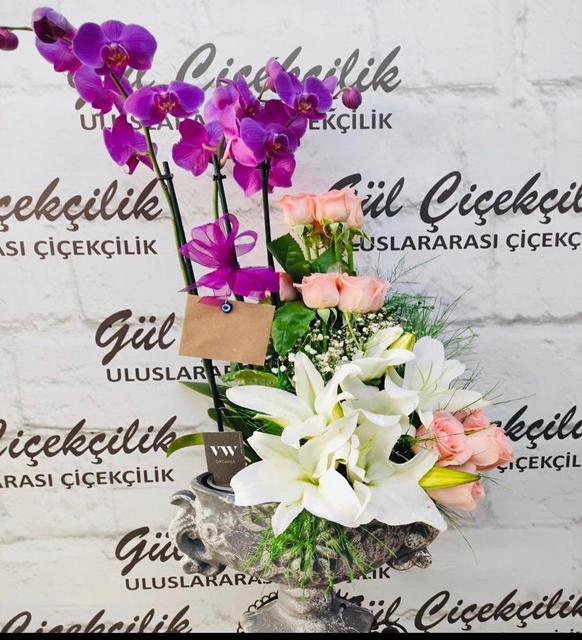 ÖZEL MOR ORKİDE ARAJMANI