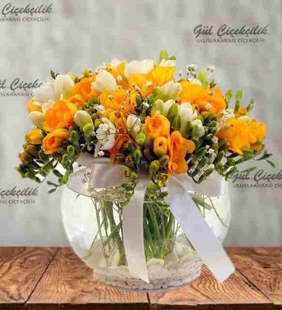 KOKULU SARI BEYAZ FREZYA 